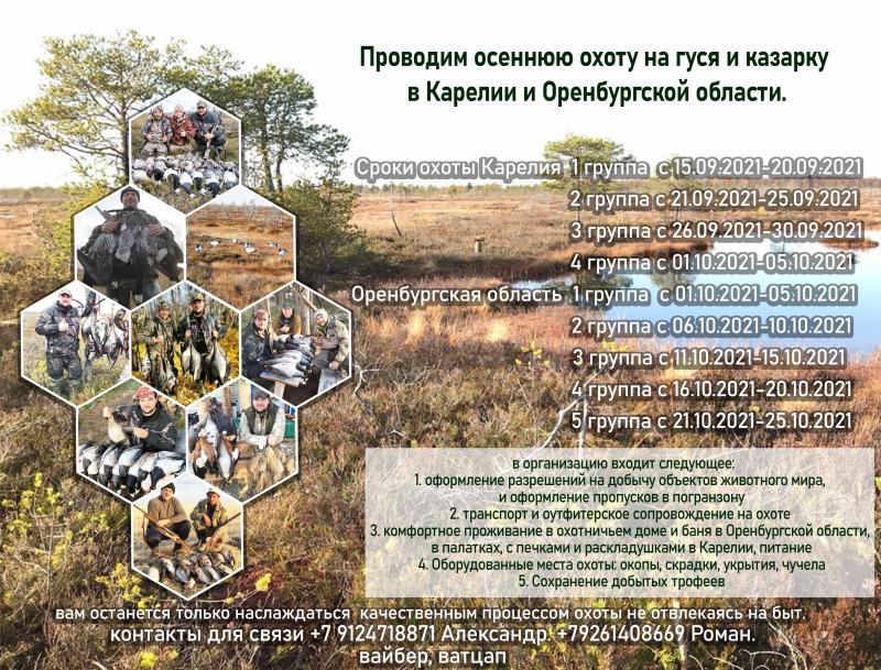 Проведение осенней охоты