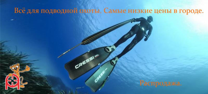 Подводная охота
