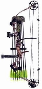 Основы стрельбы из лука