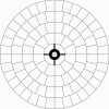 Мишень НЕВА-ТАРГЕТ 100-дольная (ЗЕРНОВА)