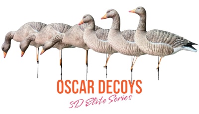 Чучело OSCAR DECOYS ELITE 3D ГУСЬ СЕРЫЙ (съемные головы)