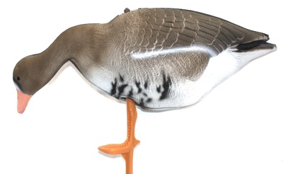 Чучело на опоре BIRDLAND ГУСЬ БЕЛОЛОБЫЙ кормящийся